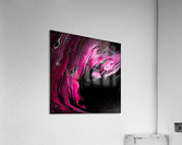 Magenta calling Acrylic Print