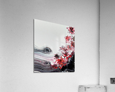 Elisa Day Acrylic Print
