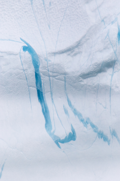 Pattern Digital Download