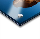 Delicate Arch Acrylic print