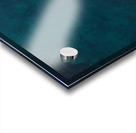 Bird view Acrylic print