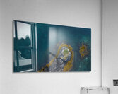 Bird view Acrylic Print