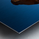 Delicate Arch Metal print