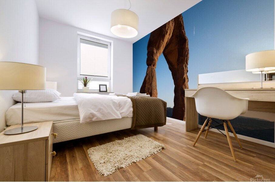 Delicate Arch Mural print