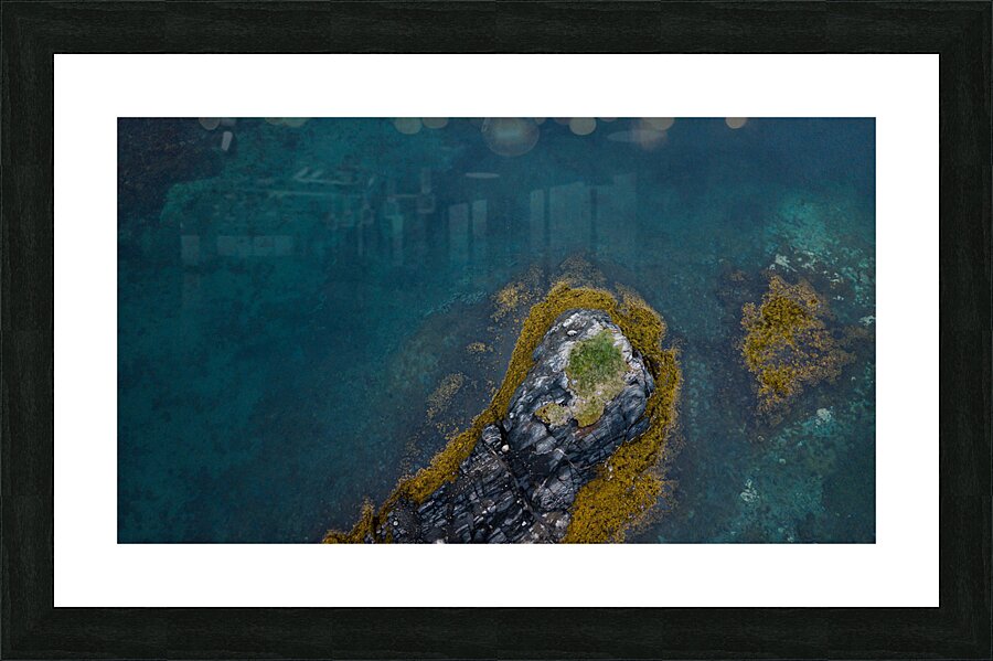 Bird view Picture Frame print