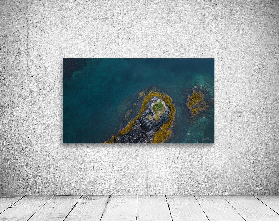 Bird view Wall Preview