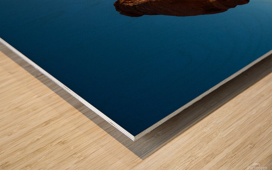 Delicate Arch Wood print