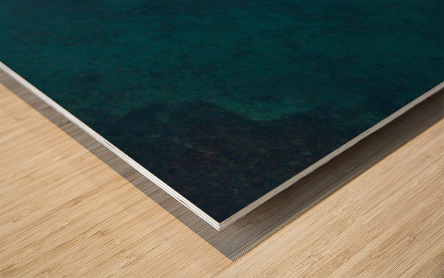 Bird view Wood print