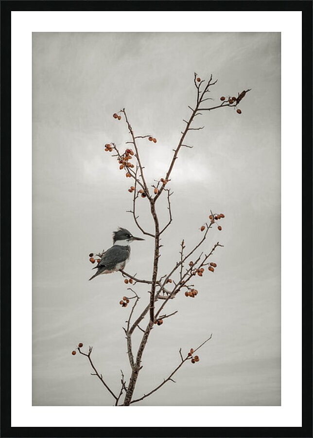  Fine Art print