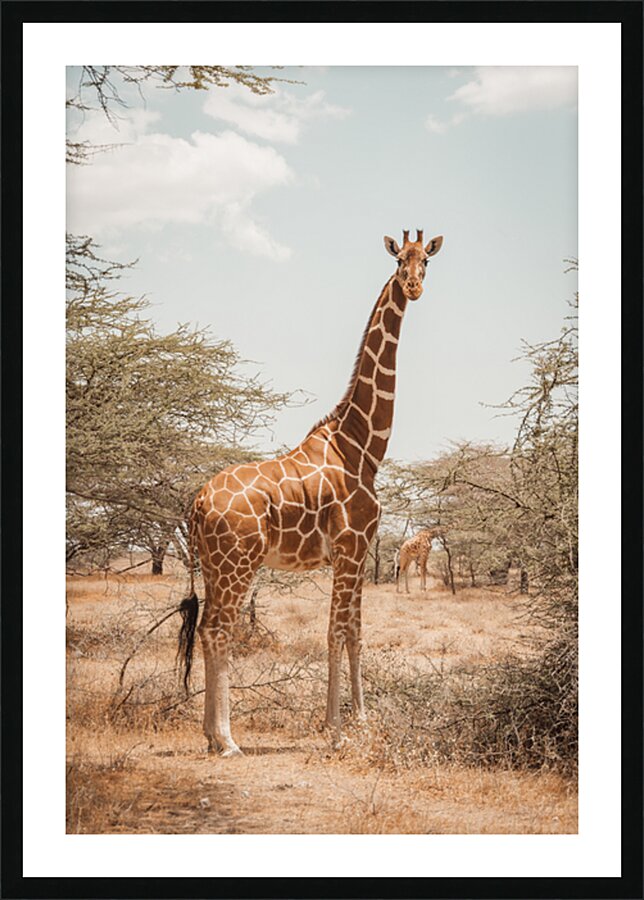  Fine Art print
