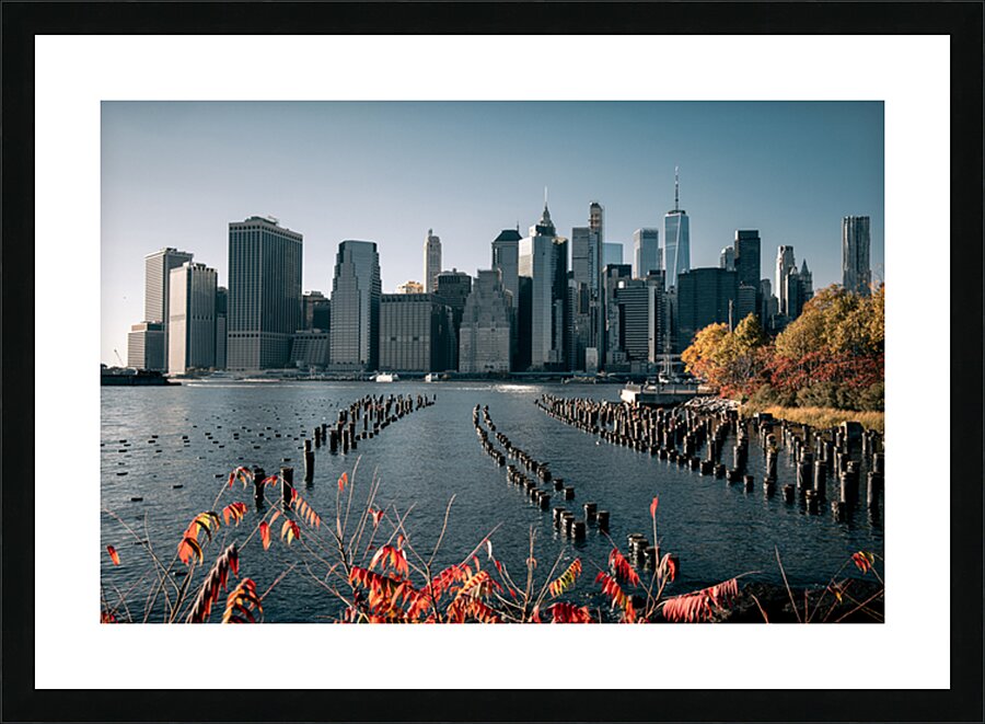  Fine Art print