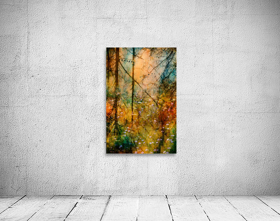 Morning Glory Wall Preview