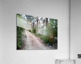 boustane Acrylic Print