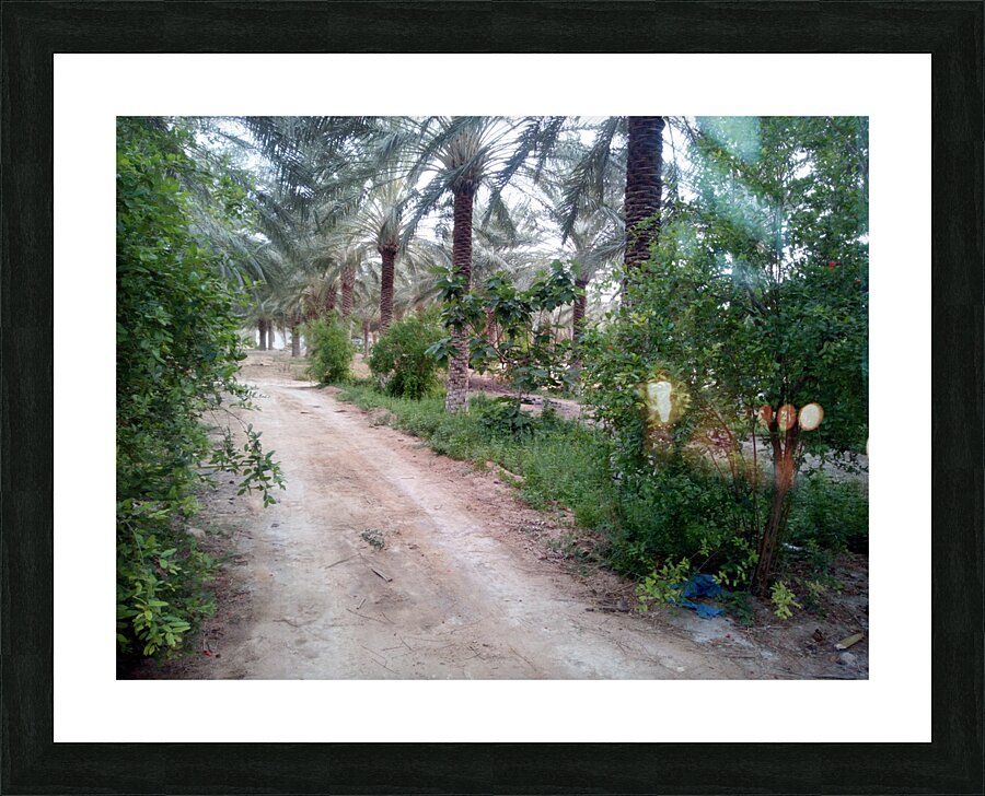 boustane Picture Frame print