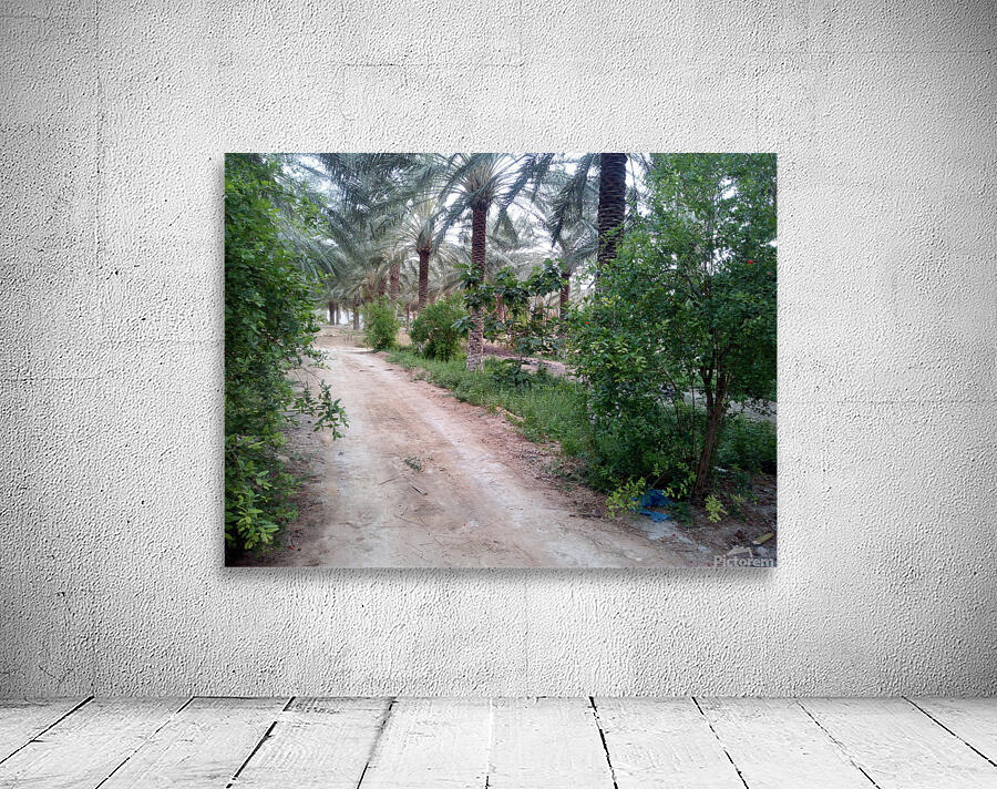 boustane Wall Preview