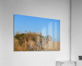 Cape Henlopen Acrylic Print