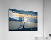 Surfing Acrylic Print