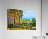 Pemberton Park Acrylic Print