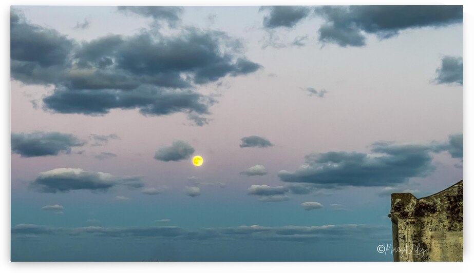 Sunset by Margot Lily