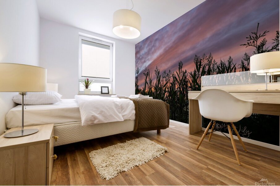 Delaware Sunset Mural print