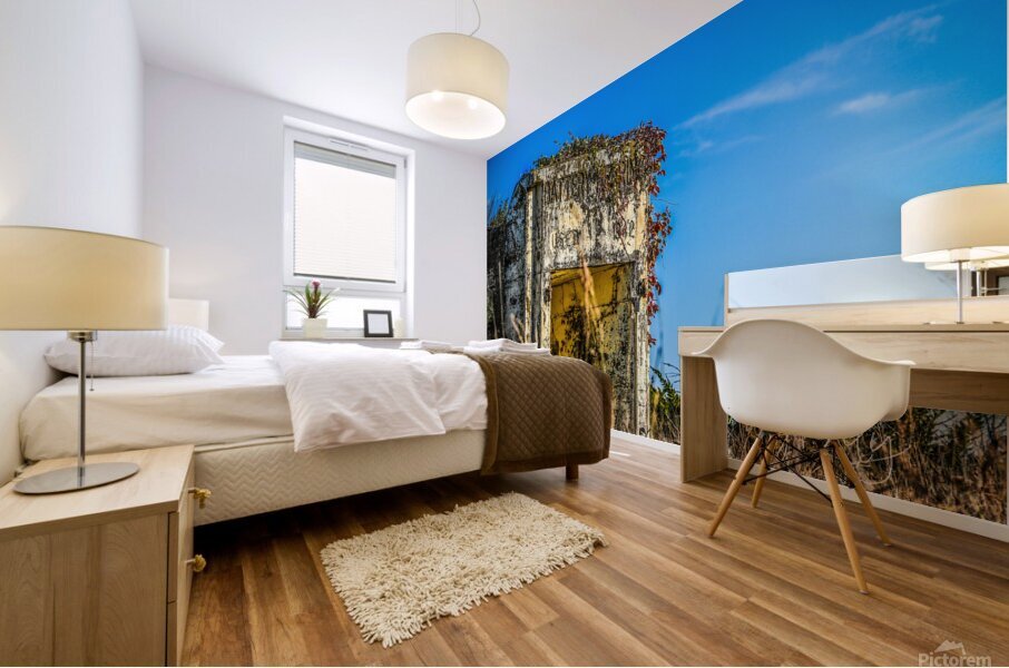 Fort Mills Mural print