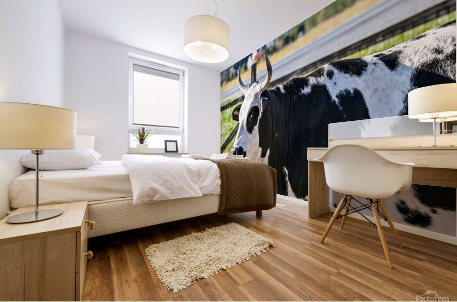 Cow Mural print