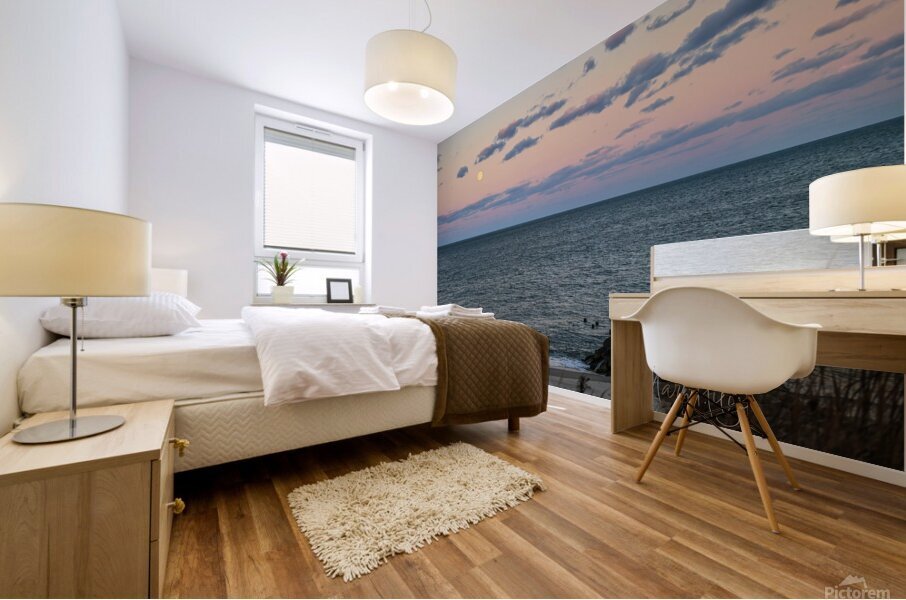Cape Henlopen Mural print
