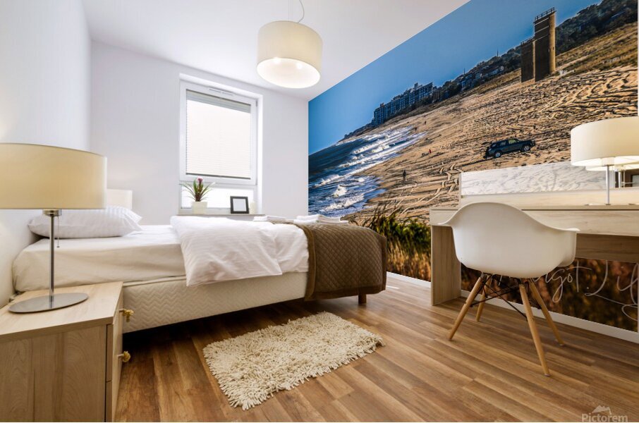Cape Henlopen Mural print