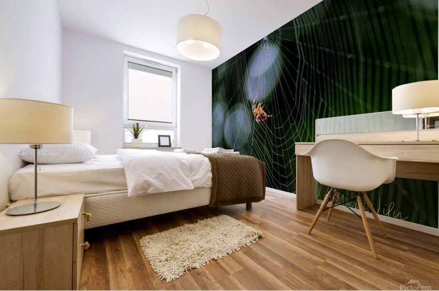 Spider Mural print
