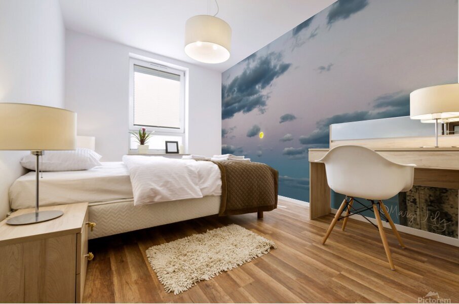 Sunset Mural print