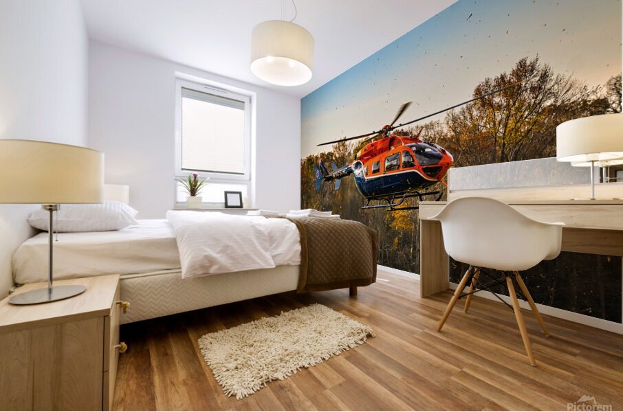 Life Net-Helicopter Mural print