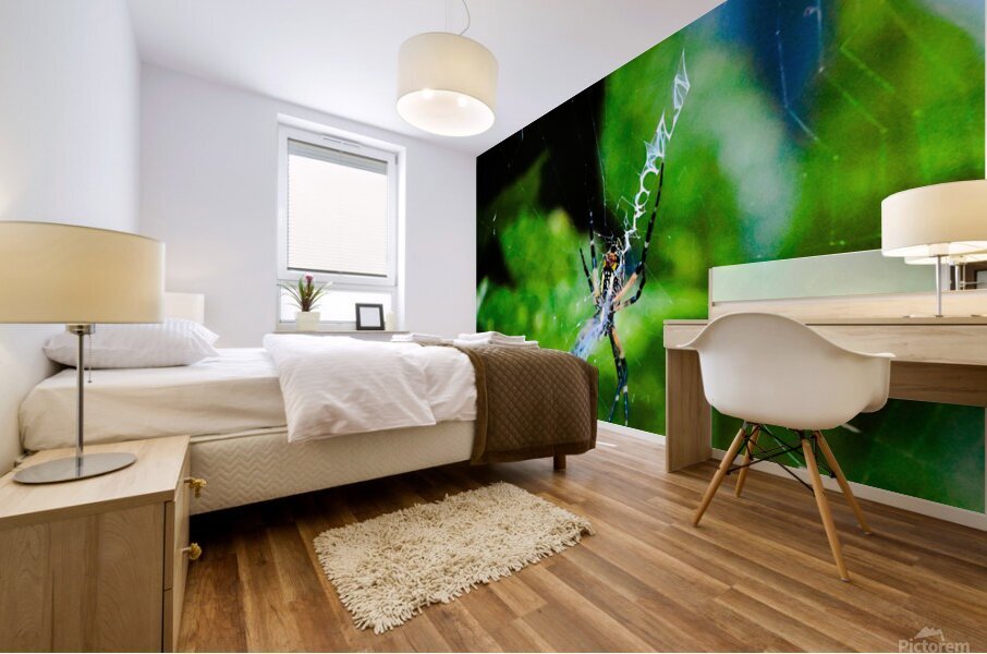 Garden Spider Mural print