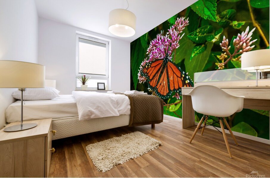 Monarch Butterfly Mural print