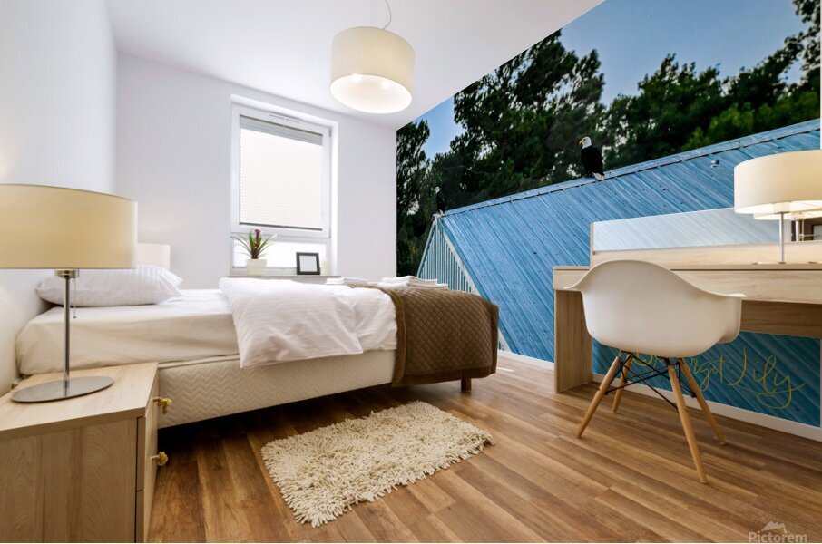 Bald Eagles Mural print