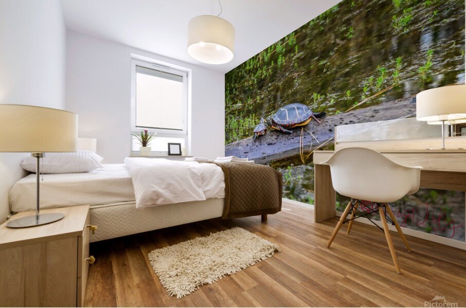 Blackwater turtles Mural print
