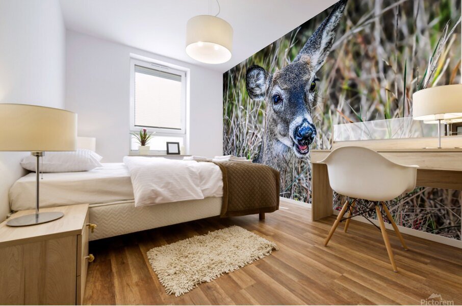 Deer Mural print