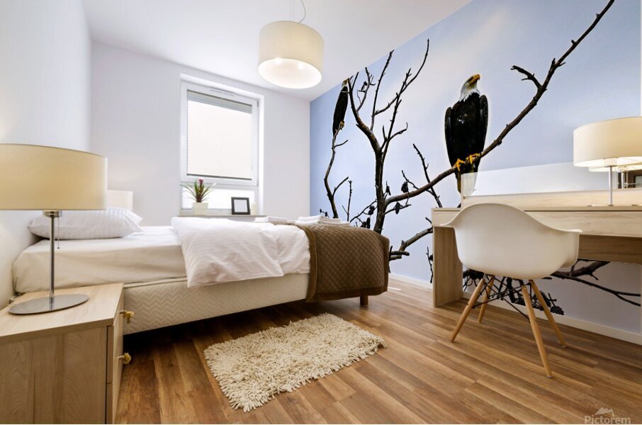 Bald Eagles Mural print