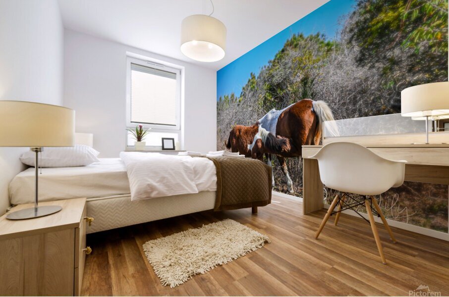 Wild ponies Mural print