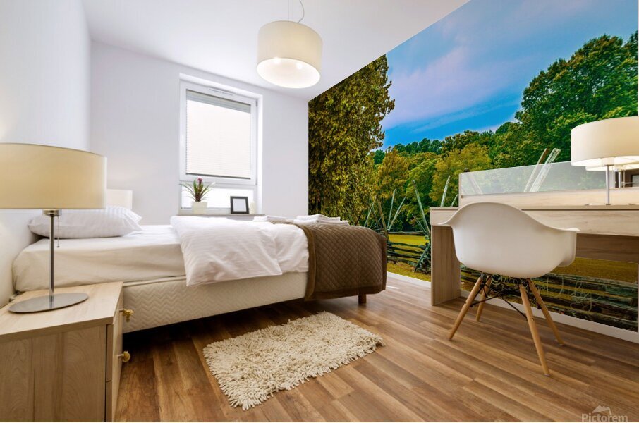 Pemberton Park Mural print