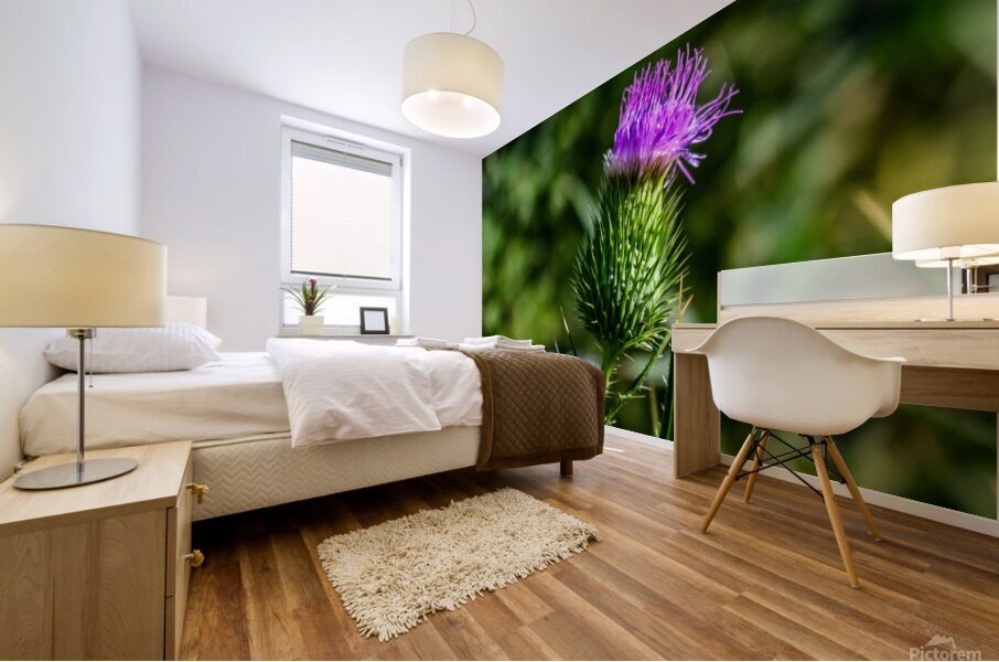 Thistle Mural print