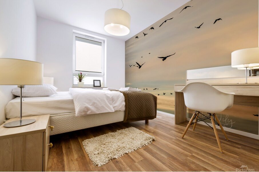 Snow Geese Mural print