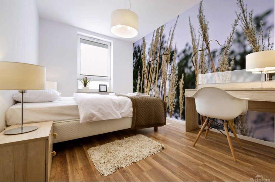Winter sea grass Mural print