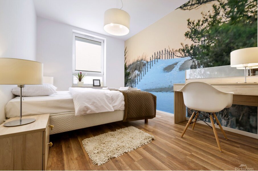 Winter Dunes Mural print