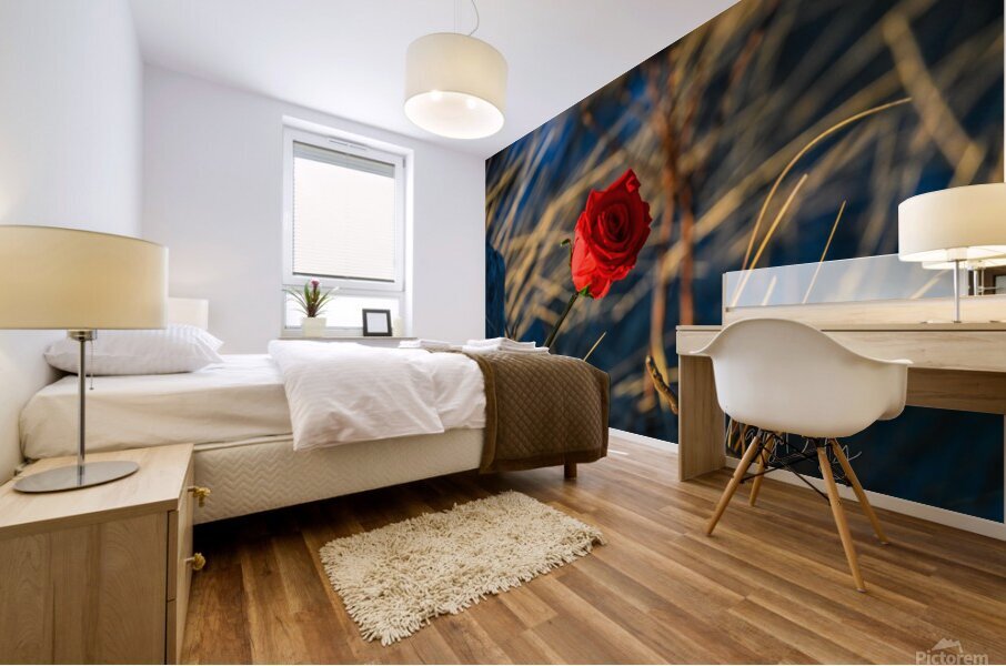 Winter Rose Mural print