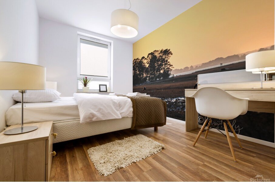 Sunset over Chincoteague Mural print