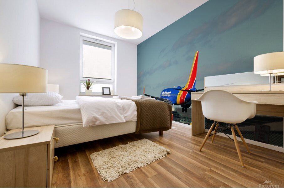 Planes landing Mural print