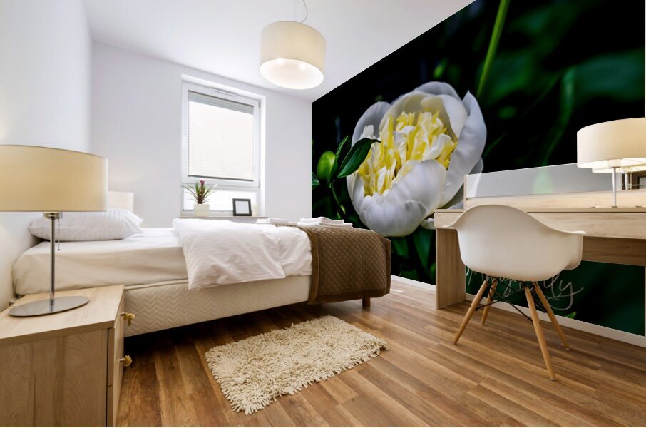 Peony Mural print