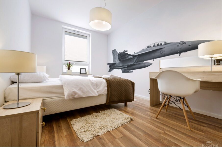 F16 Viper Mural print