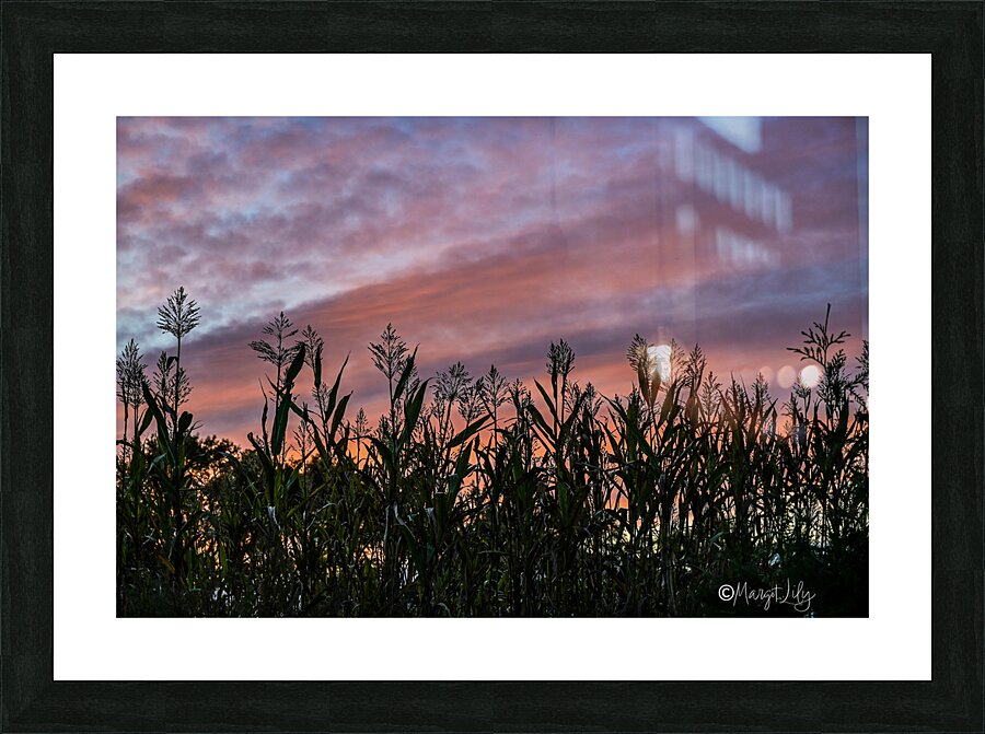 Delaware Sunset Picture Frame print