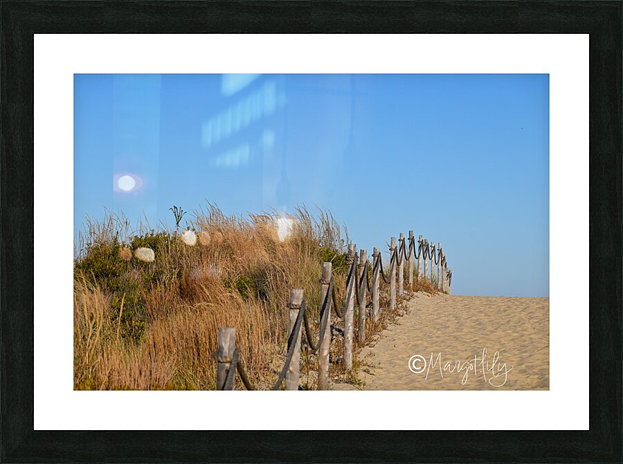 Cape Henlopen Picture Frame print